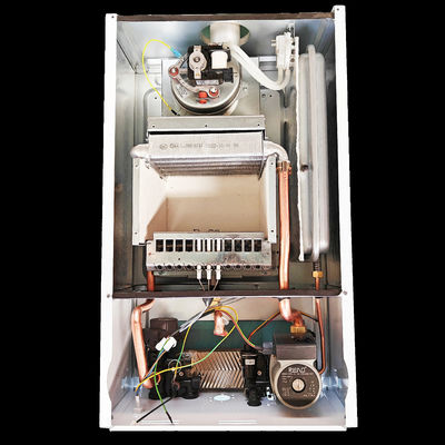 40 kw 벽걸이용 가스 보일러 이중 기능 Lpg 가스 보일러 황금 조개상