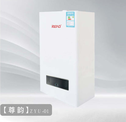 중앙 난방 및 목욕용 24KW 천연가스 또는 PLG 콤비 보일러