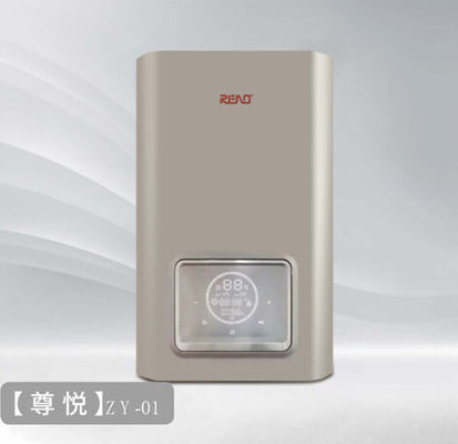 가스 벽에 장착 된 보일러 20kw NG 또는 LPG 조합 보일러