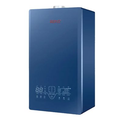 환경 친화적 인 난방 및 보호의 21 가지 유형과 함께 20 kW 벽 장착 가스 보일러